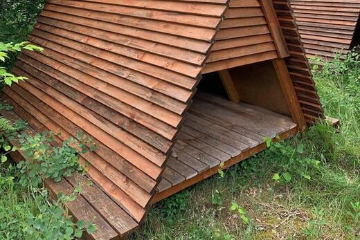Shelter