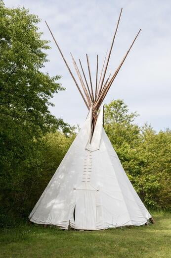 Tipi